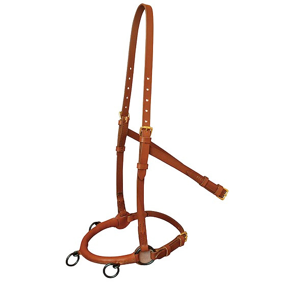 Akademischer Kappzaum