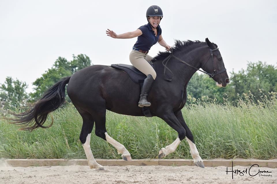 Shock absorbing Bareback