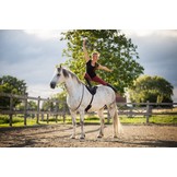 Shock absorbing Bareback