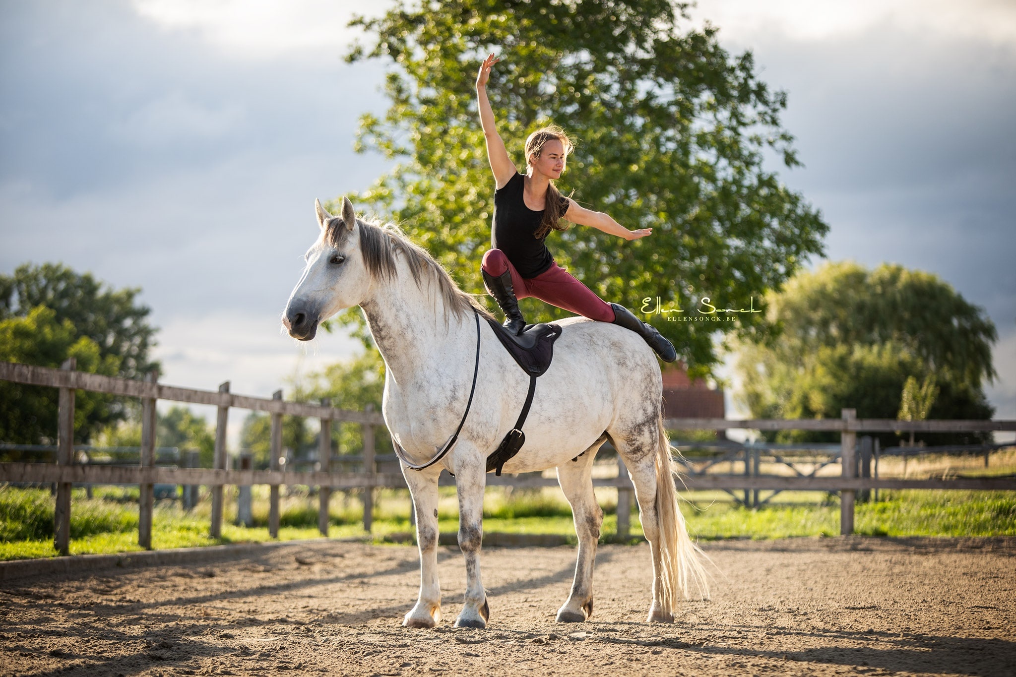 Stoßdämpfend Reitpad
