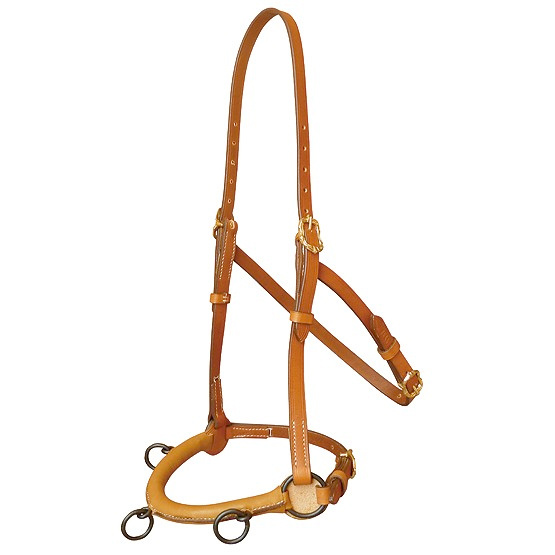 Academic cavesson baroque