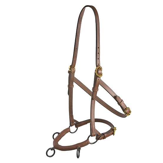 Academische kaptoom Barok