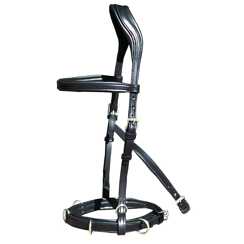 Oslo anatomic cavesson