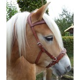 Oslo anatomic cavesson