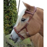 Oslo anatomische  Kappzaum