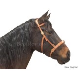 Oslo anatomische Kappzaum barock