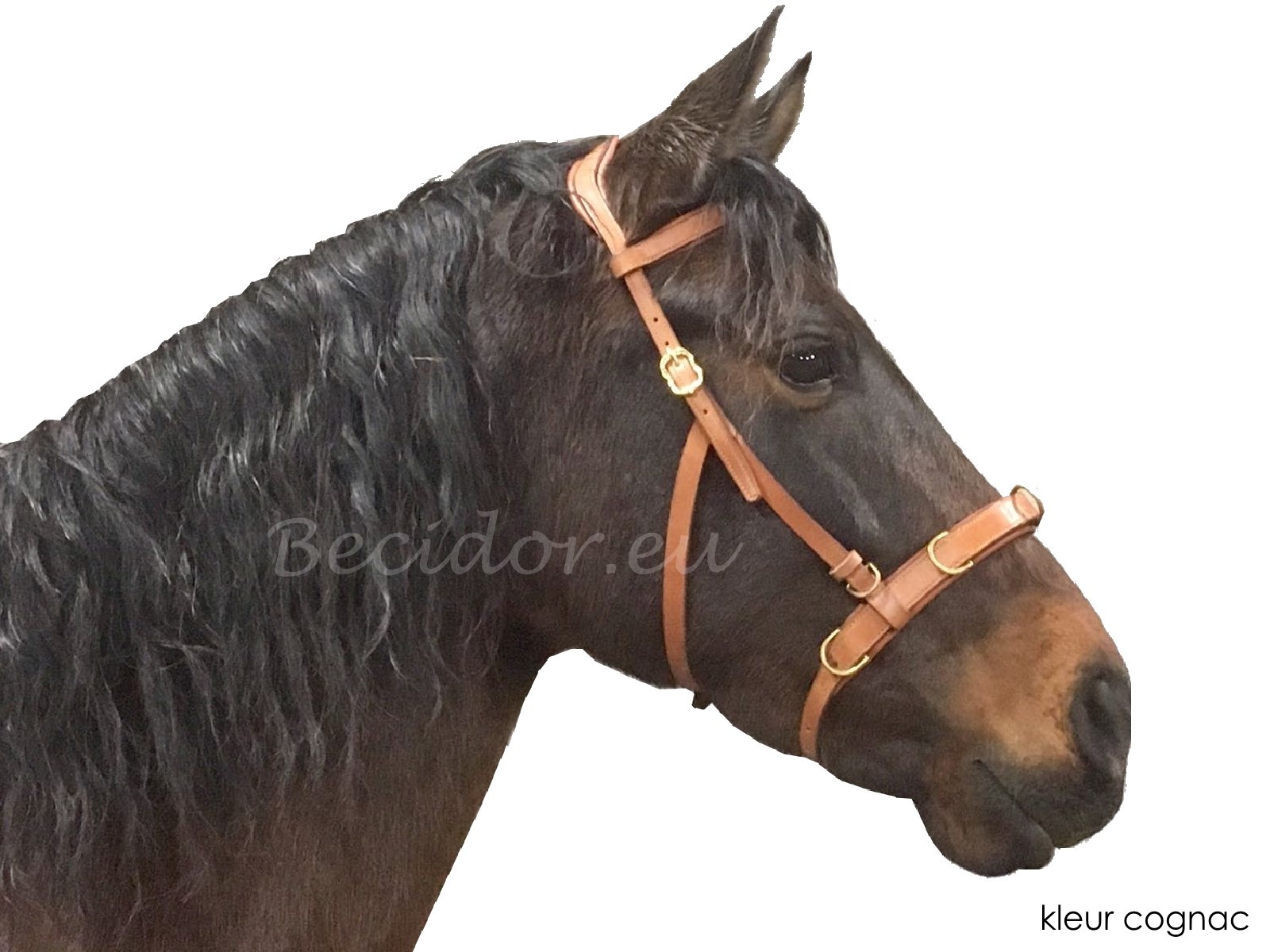 Oslo anatomic cavesson baroque