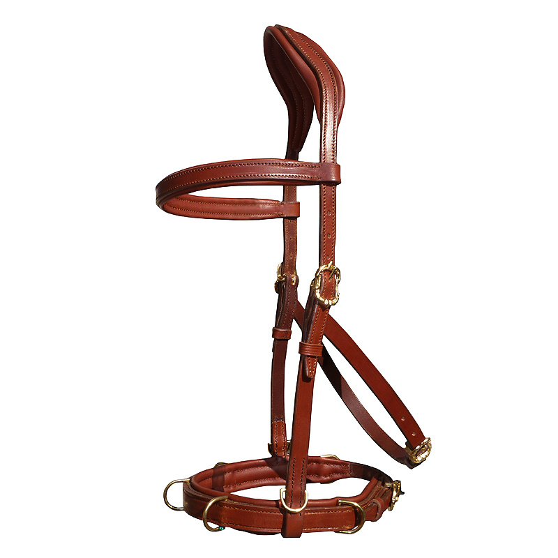 Oslo anatomische Kappzaum barock