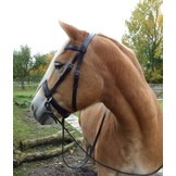 Victoria kaakgekruist bitlooshoofdstel