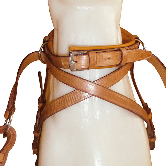 Victoria cross-over bitless bridle