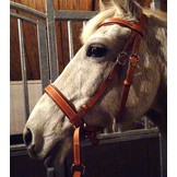 Victoria baroque cross-overbitless bridle