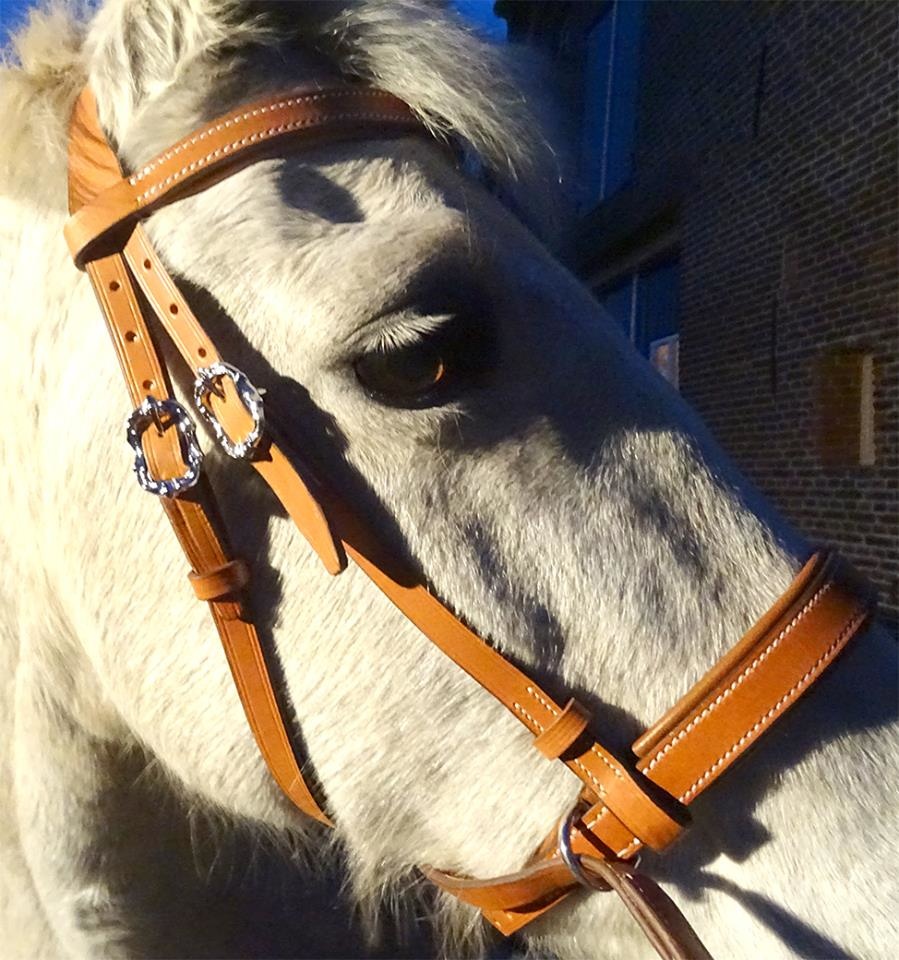 Victoria baroque cross-overbitless bridle