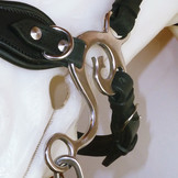 Hackamore barok bitloos hoofdstel