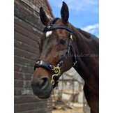 Hackamore baroque bitless bridle