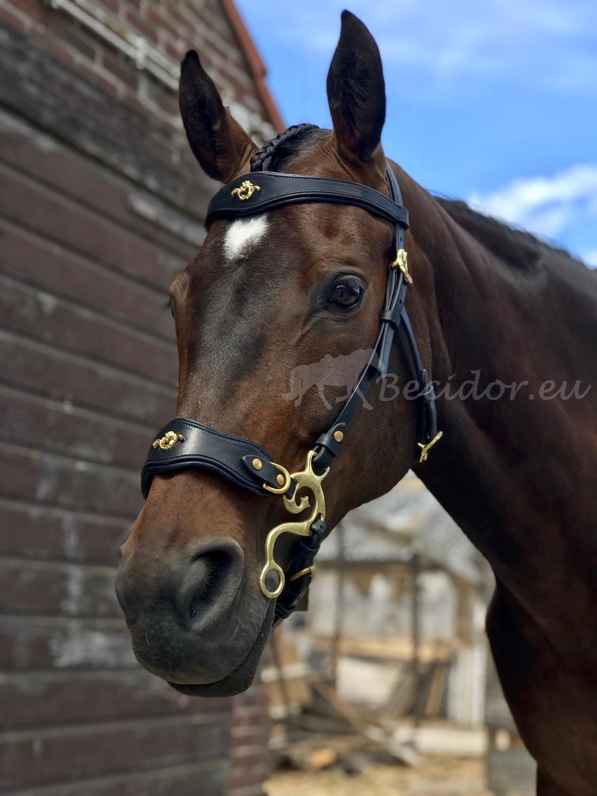 Hackamore barock gebisslose Zäumung