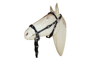 Cortesia sidepull Zäumung