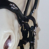 Cortesia sidepull bitlooshoofdstel