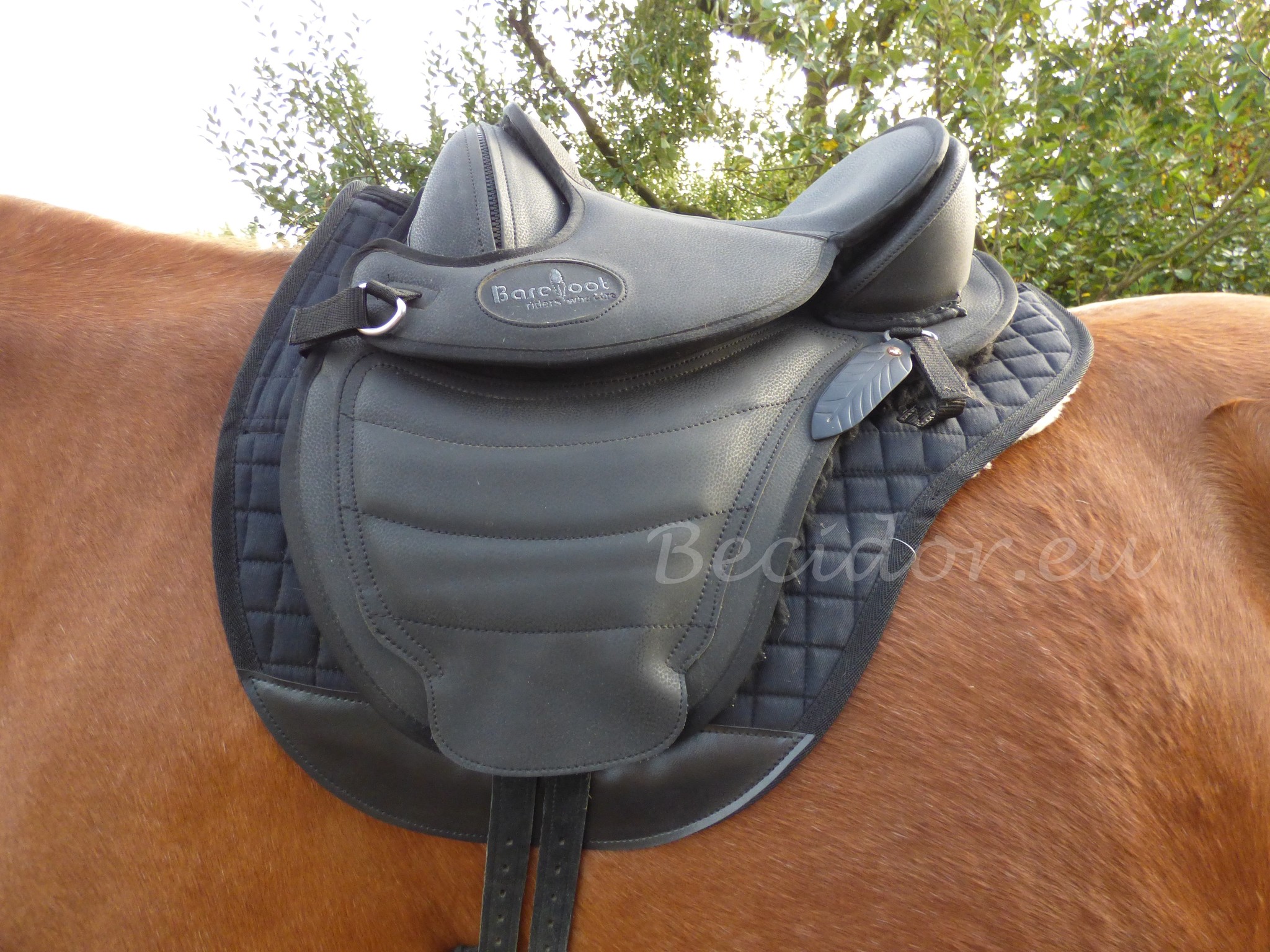 Testzadel Cheyenne maat 0