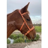 Oslo anatomic cavesson