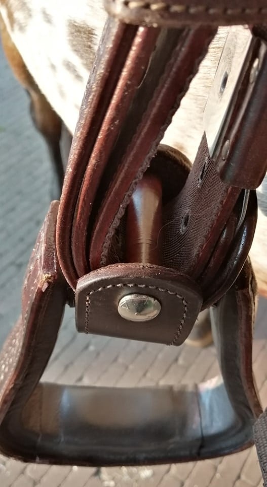 Westliche Steigbügelwender, Steigbügelwender in Braun und Schwarz