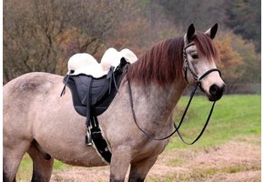 Testsattel Soft Walk masse 1