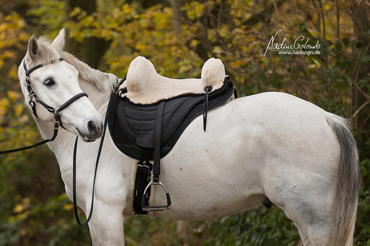 Testsattel Soft Walk Fellsattel masse 2