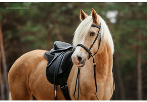 Test saddle Merlyn size 1