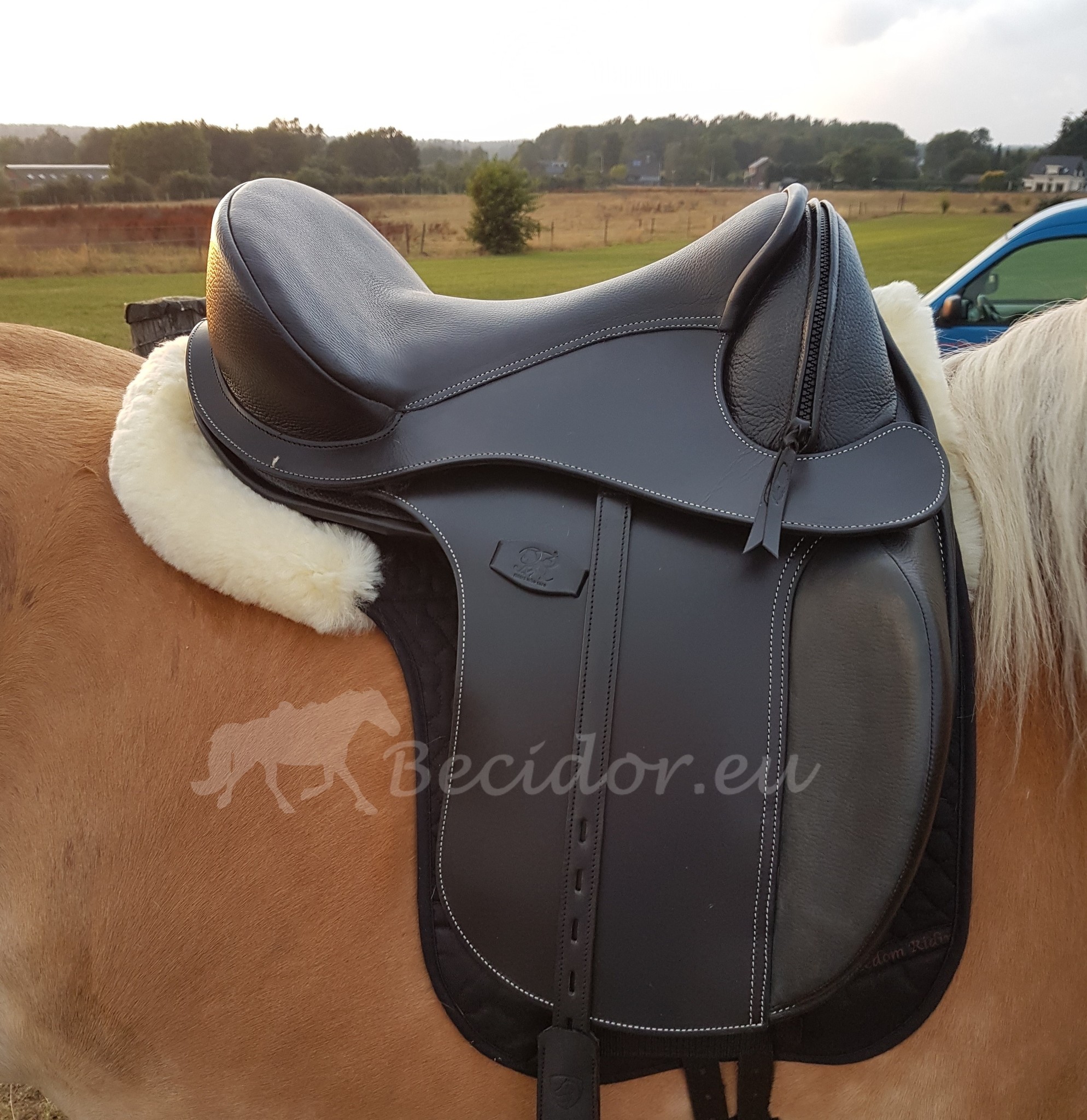 Dressage Test saddle Wellington size 1