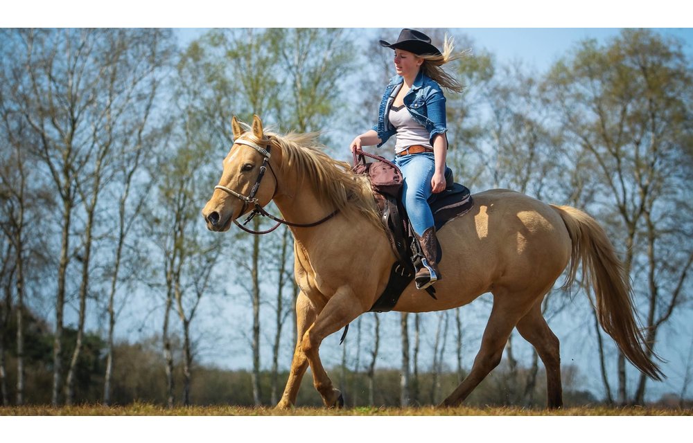 Western testzadel Arizona maat 2