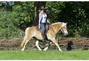 Testsattel Arizona Nut masse 1