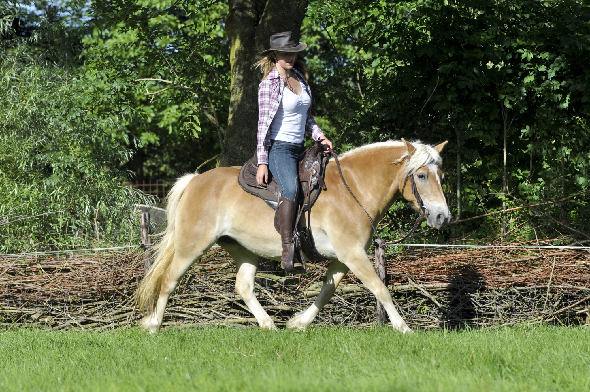 Western Test saddle Arizona Nut size 1
