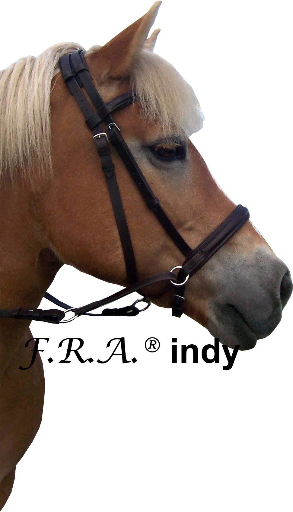 Indy kaakgekruist bitlooshoofdstel leder