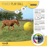 Maximus Power Ball paardenvoetbal