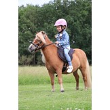 Dardo shetty barebackpad rijsjabrack