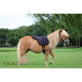 Dardo Shetty Reitpad