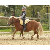 Barebackpad Premium Plus lamsvel