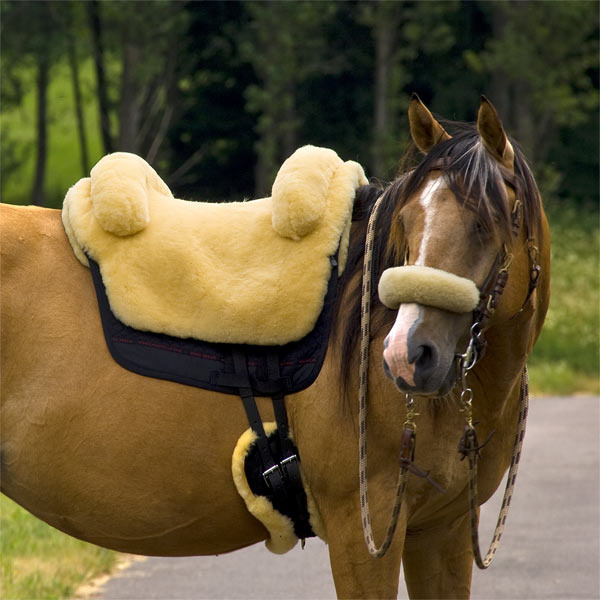Bareback pad Iberica Plus lambskin