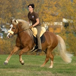 Barebackpad Premium Plus lamsvel