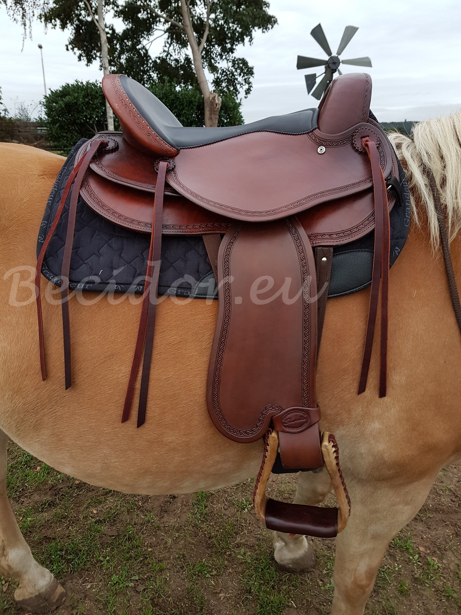 Test saddle Startrekk Endurance S1