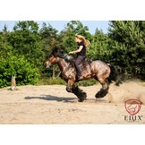 Tequiro treeless western saddle leather