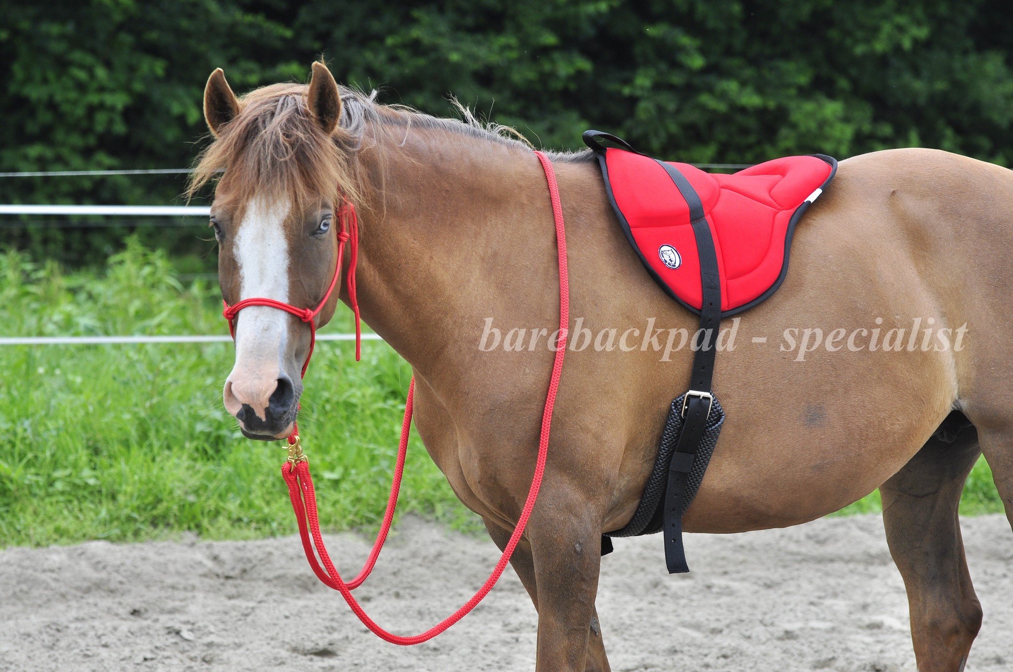 Barebackpad BK Engels Ultralight fleece