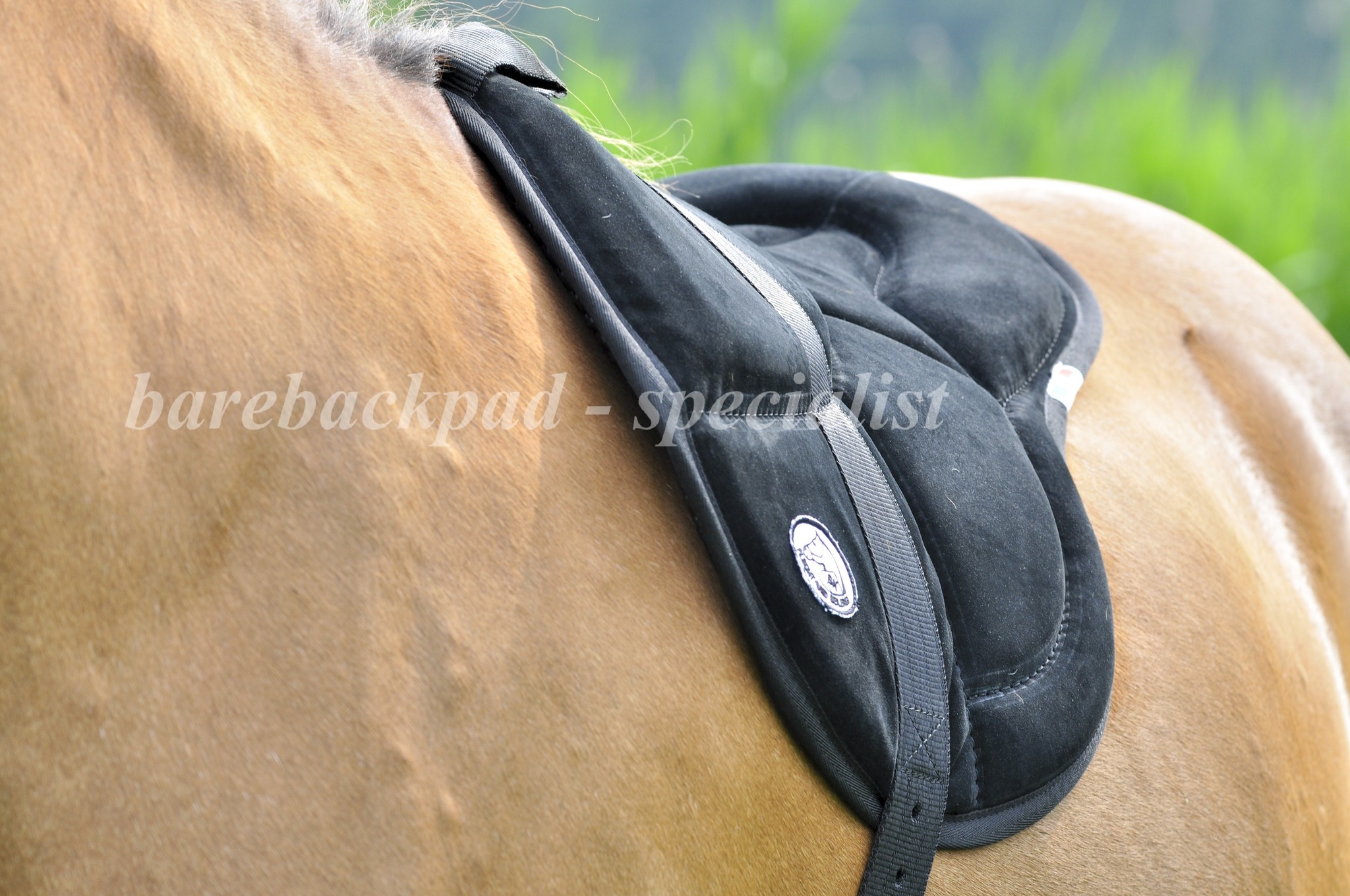 BK Barebackpad Englisches Wildleder Anti-Rutsch