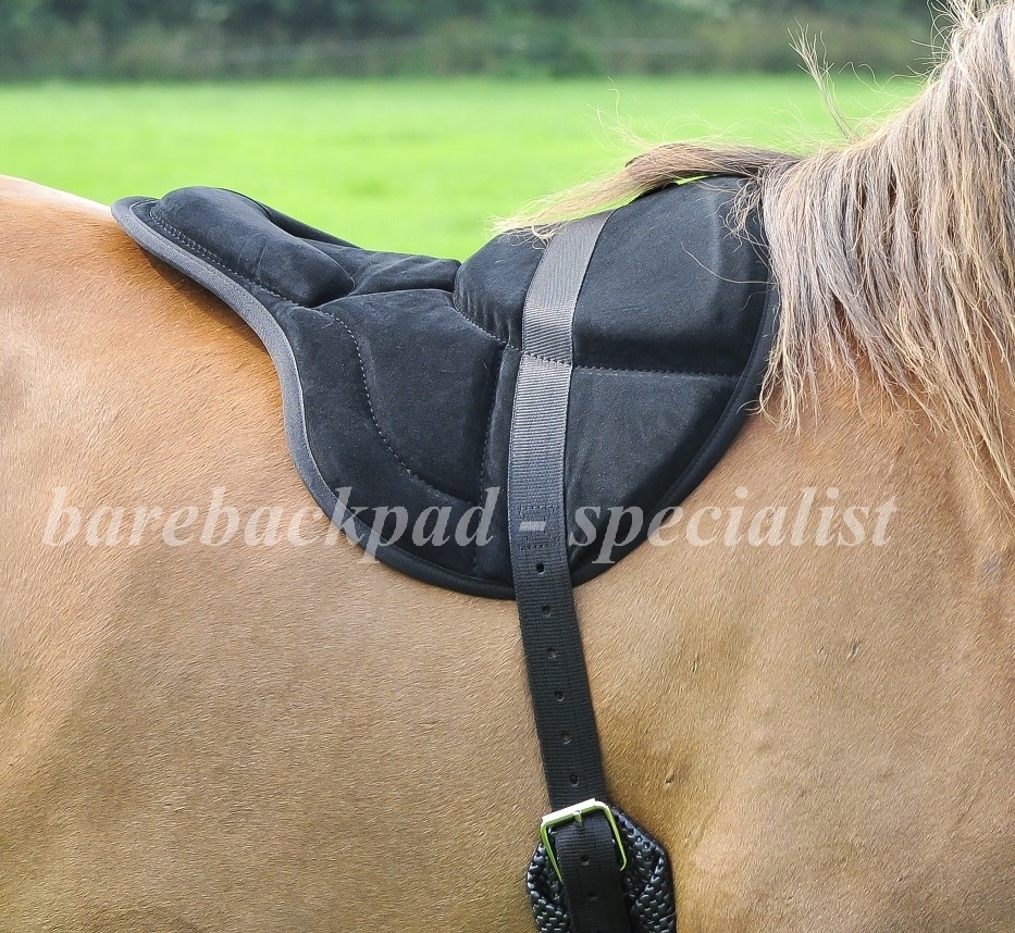 BK Barebackpad Englisches Wildleder Anti-Rutsch