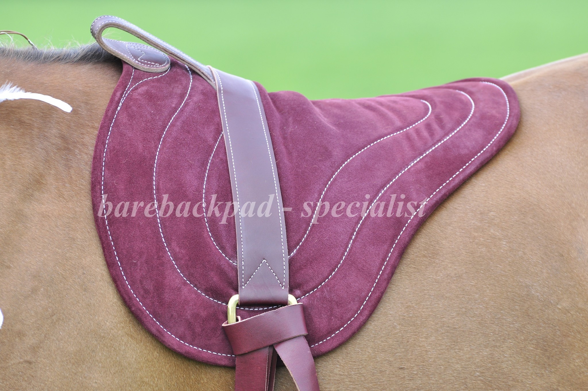 Barebackpad Horsemanship leather