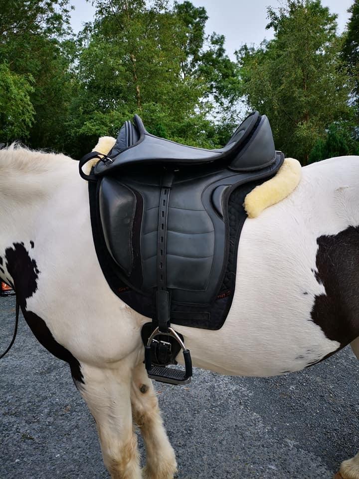 Lammfell Pad Libre für Einsatzen