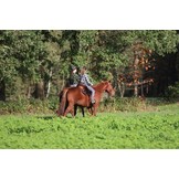 Lambskin saddle fur Gibar soft