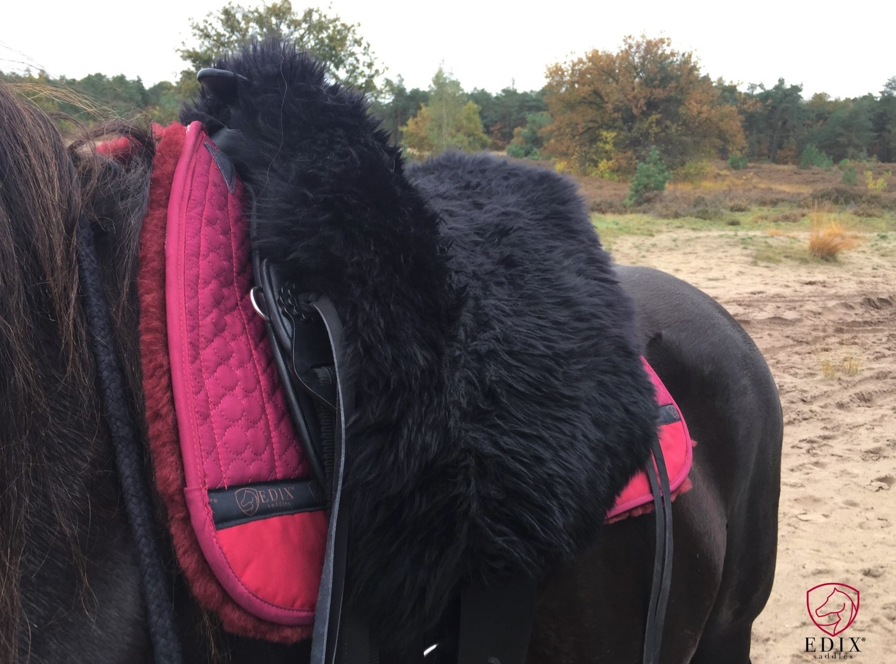 Lambskin saddle fur Gibar soft