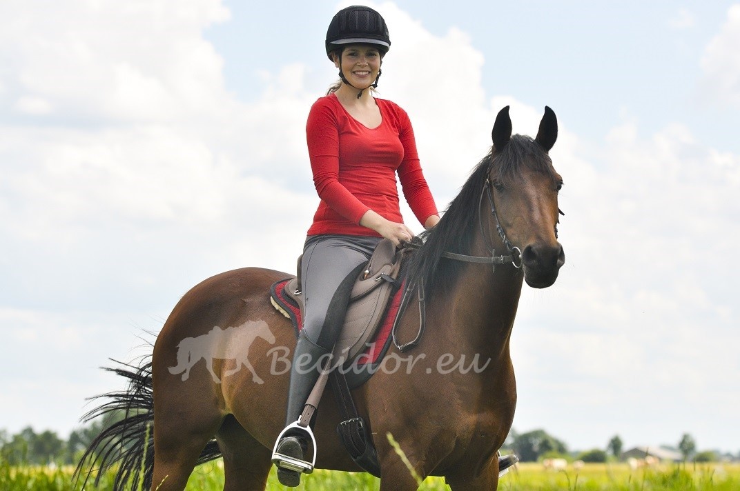 Saddle shape pad for inlays -  tailored