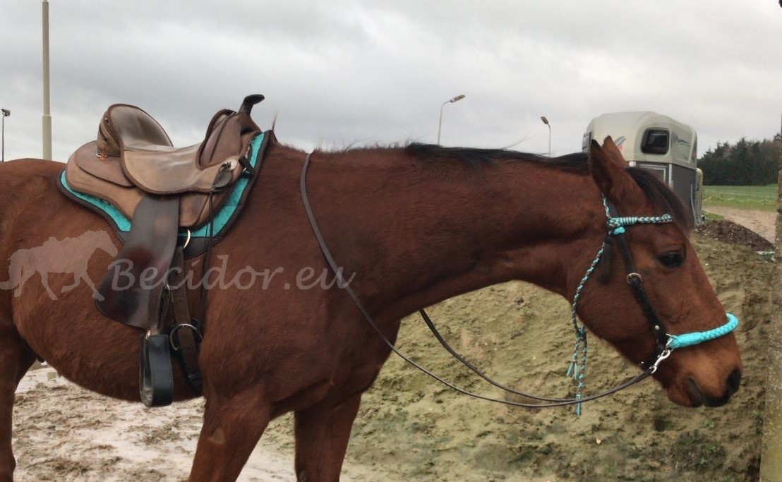 Roundskirt western pad voor inlages - op maat gemaakt