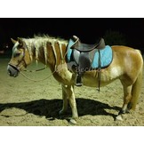 Squareskirt western pad for VS saddle with inlays